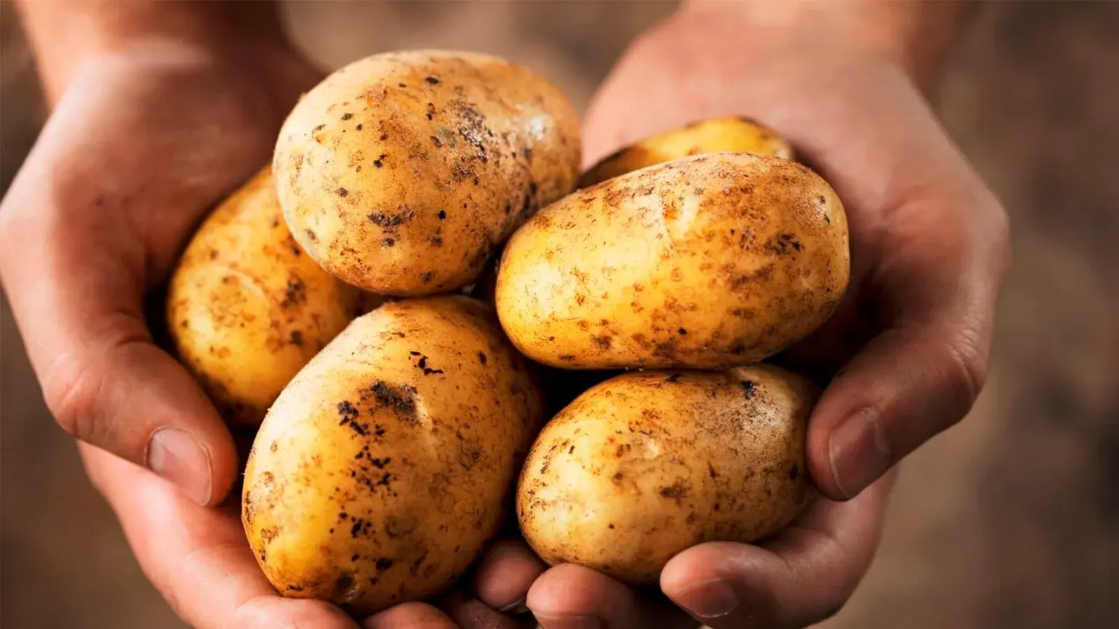 Картофель по цене мяса: что подорожало в России за год?